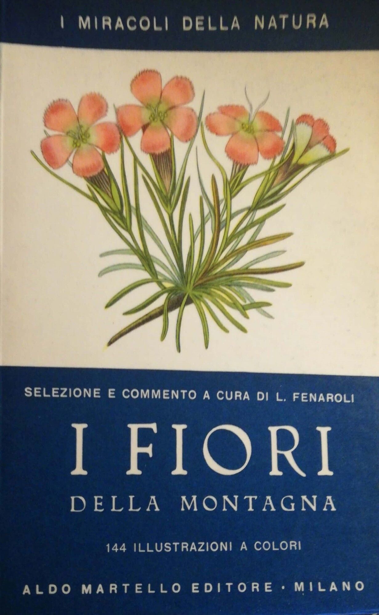 Libreria del Professore