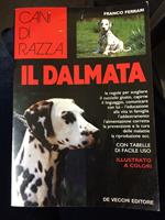 Il dalmata