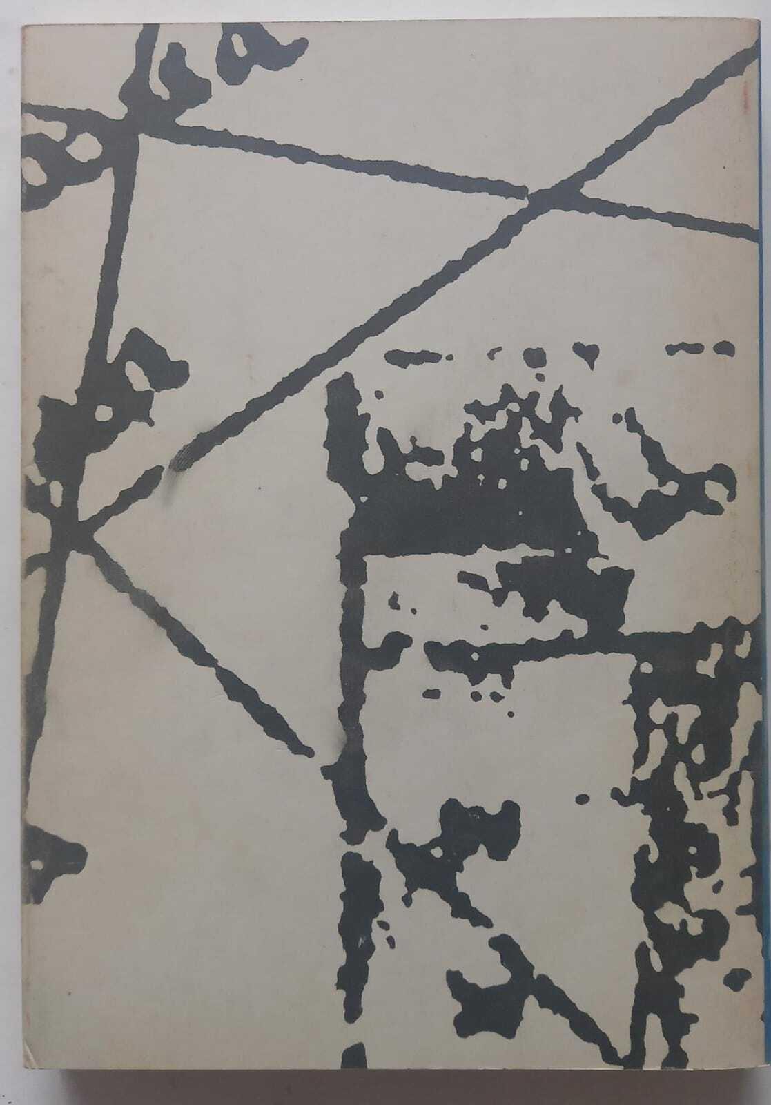 Segni e colori degli spazi medievali