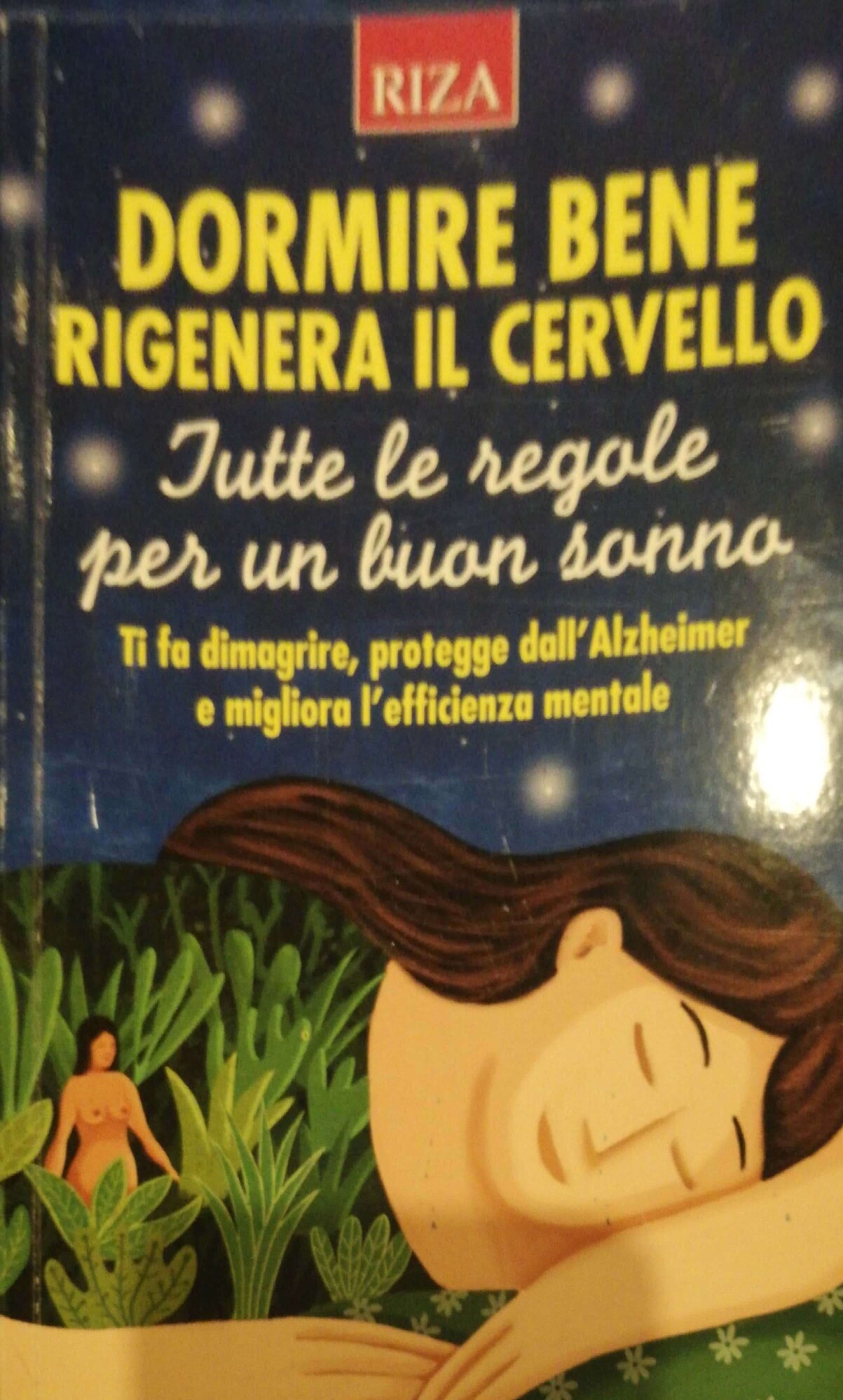 Librisaggi