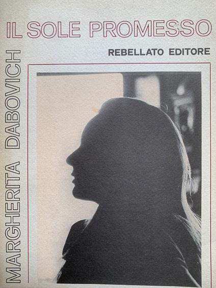Il sole promesso - copertina