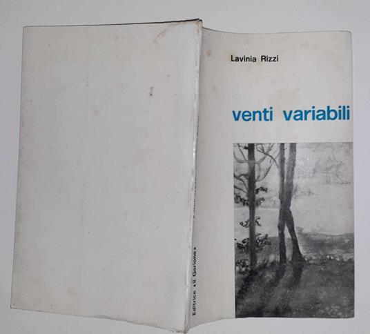 Venti Variabili - copertina
