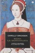 Maria la sanguinaria. Miserie e grandezze alla corte dei Tudor