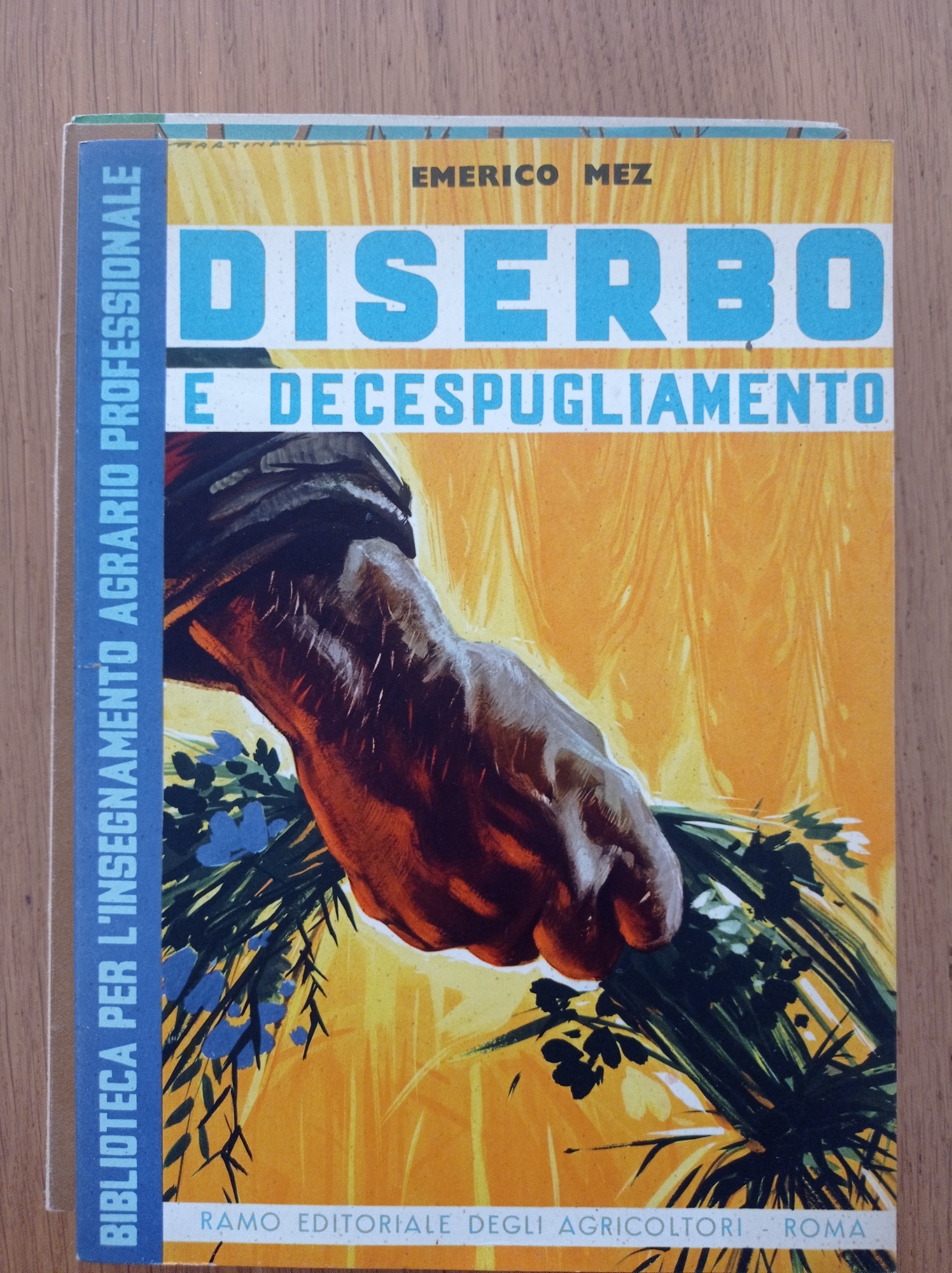 Libreria del Professore