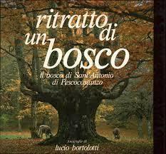 Ritratto di un bosco. Il bosco di Sant'Antonio di Pescocostanzo - Lucio Bortolotti - copertina