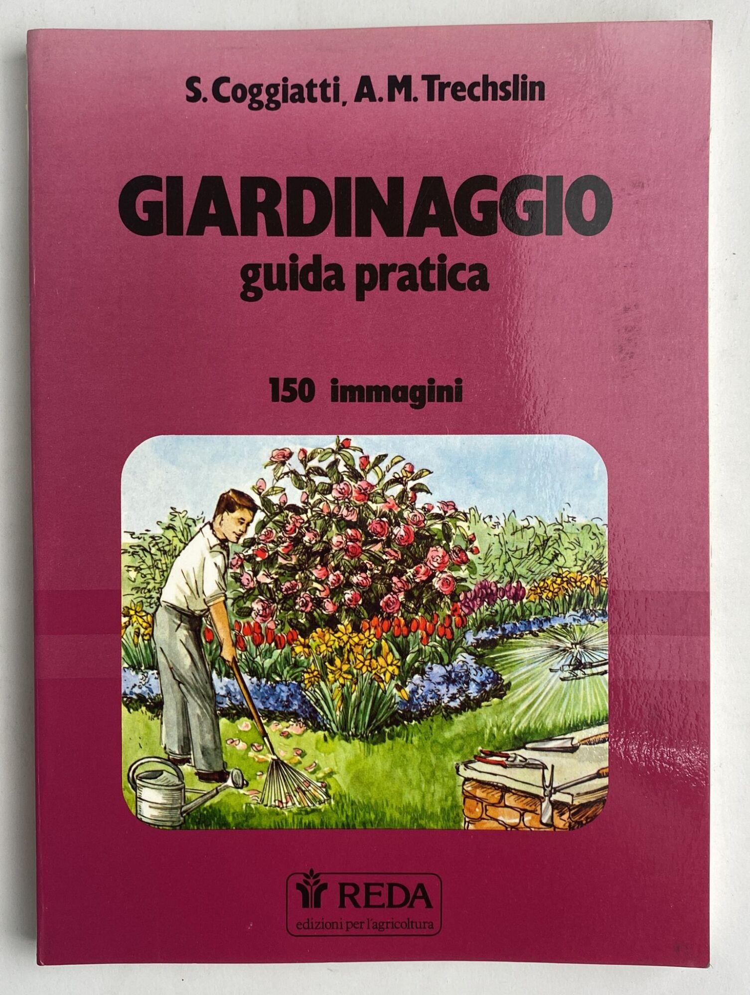 Librisaggi