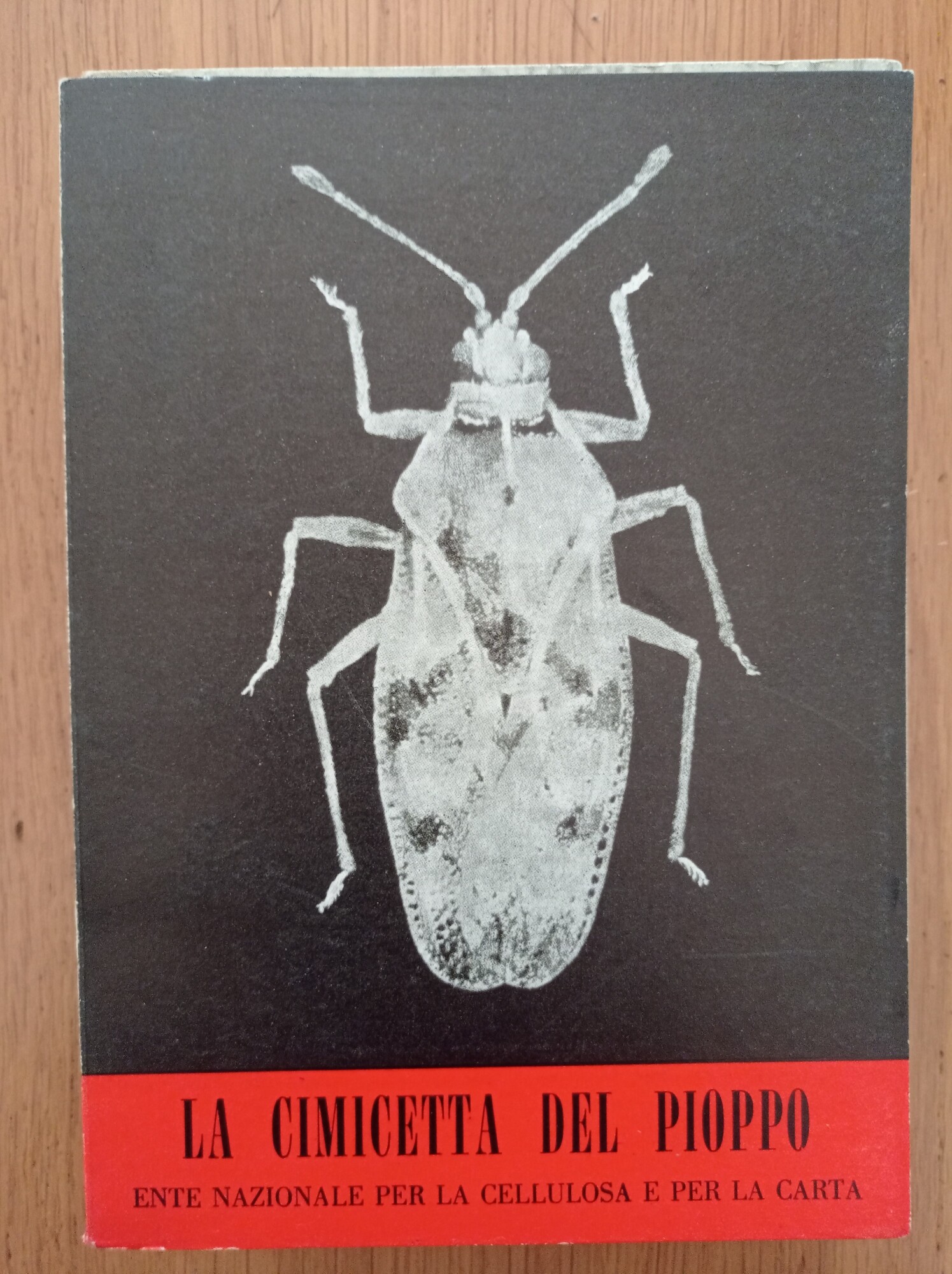 Librisaggi
