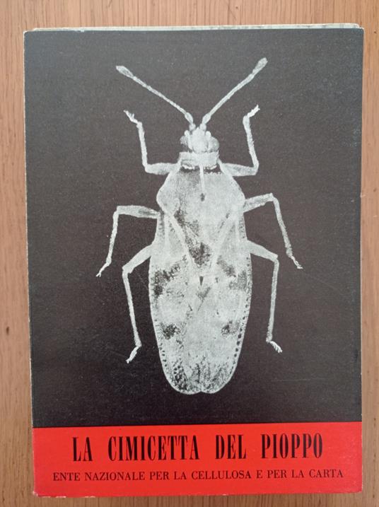 La cimicetta del pioppo - copertina