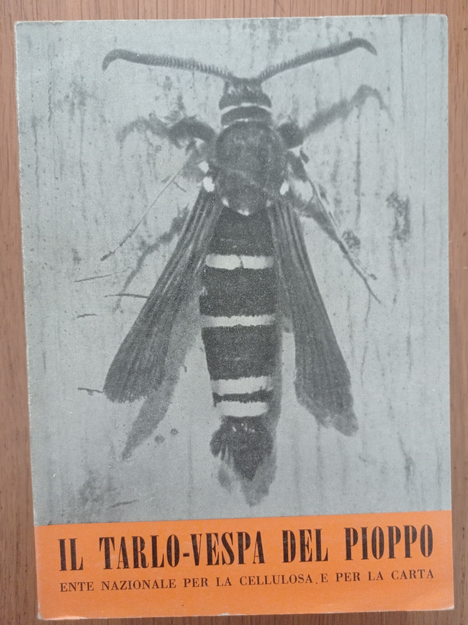 Librisaggi