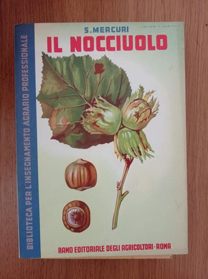 Il nocciuolo - copertina