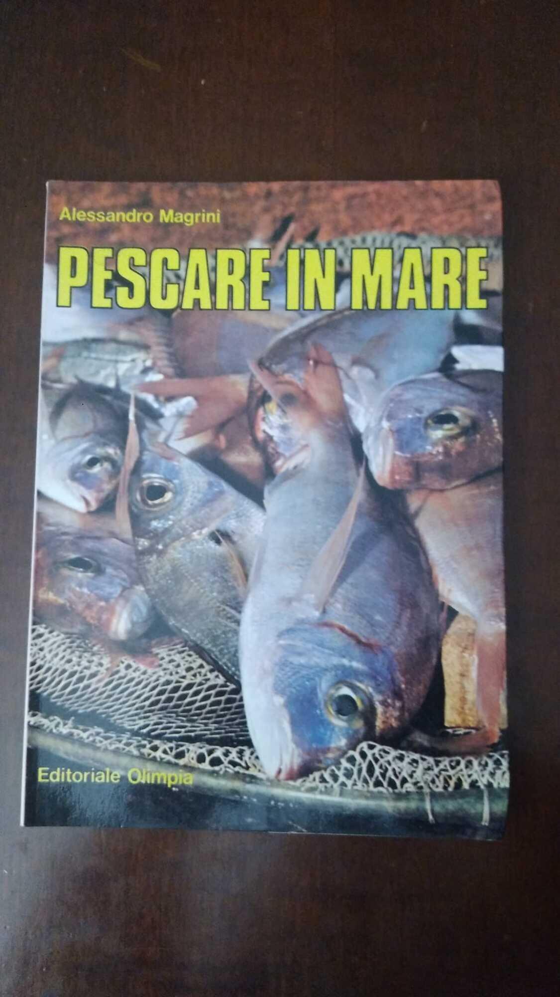 Librisaggi
