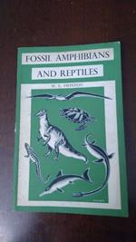 Fossil Amphibians and reptiles