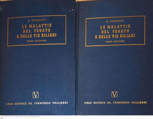 Collana di clinica medica. Le malattie del fegato e delle vie biliari - Giorgio Domenici - copertina