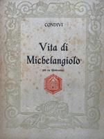 Vita di Michelangelo