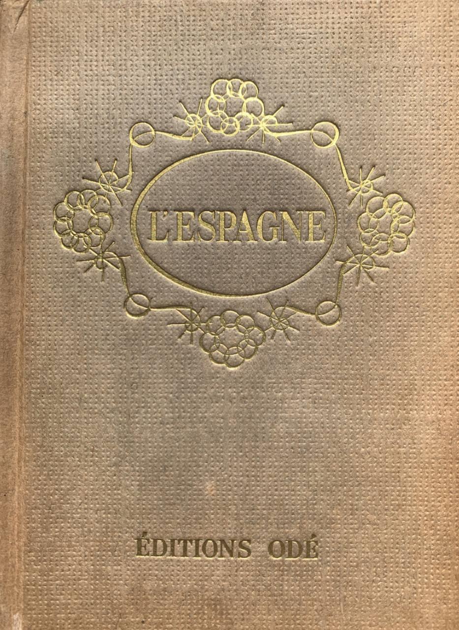 Librisaggi