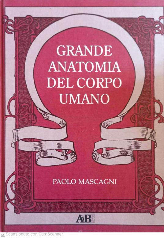 Grande anatomia del corpo umano - Paolo Ascagni - copertina