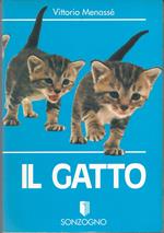 Il gatto