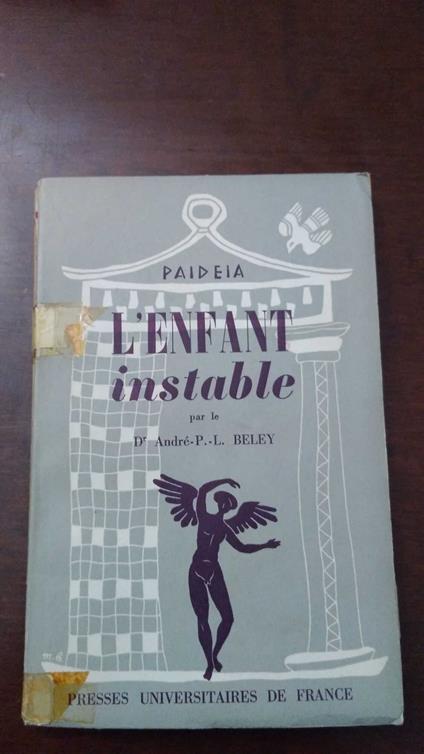 L' enfant instable - copertina