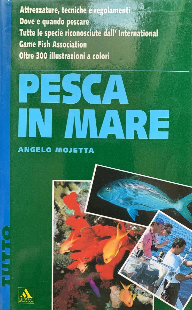 Librisaggi
