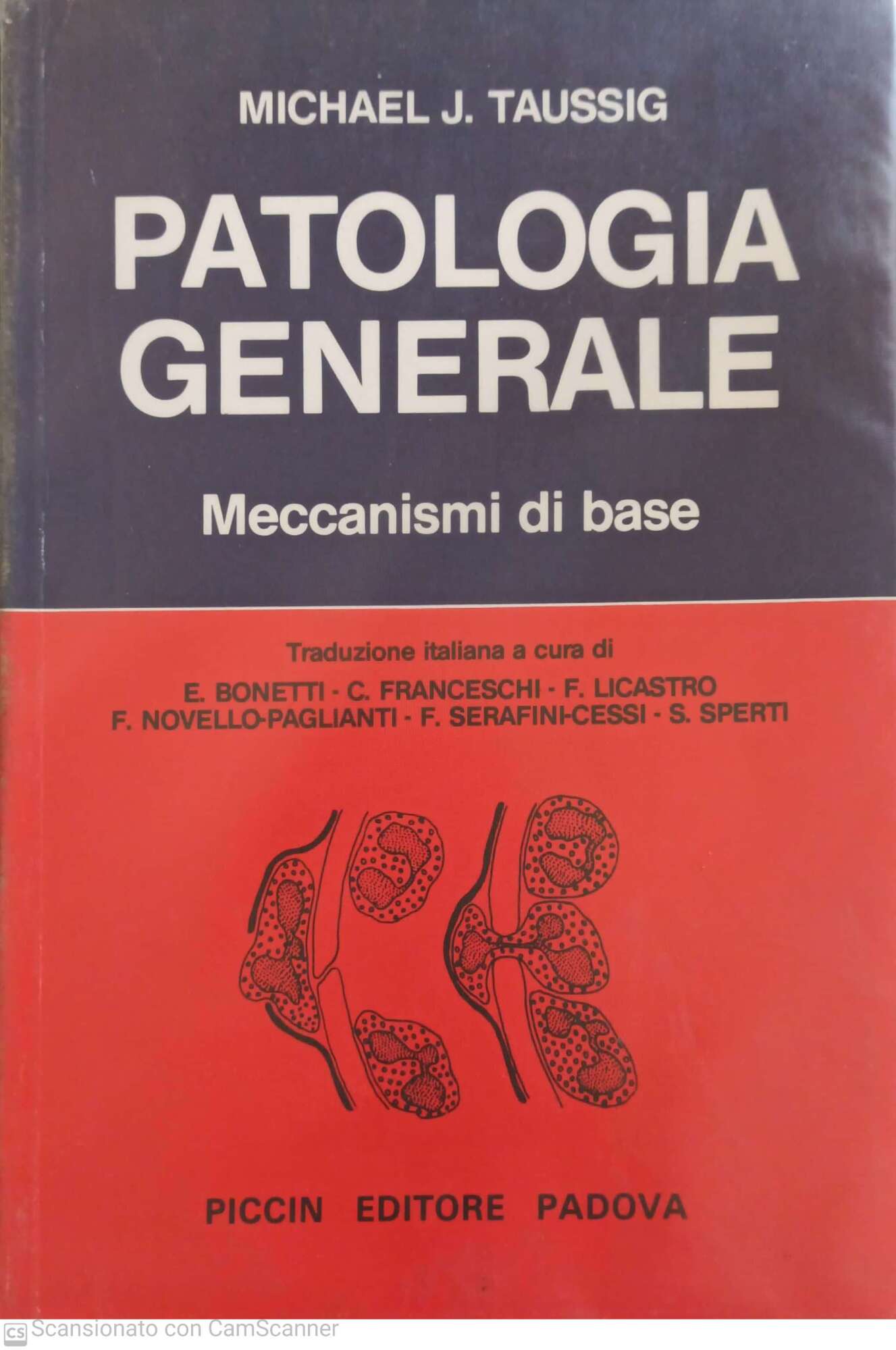 Librisaggi