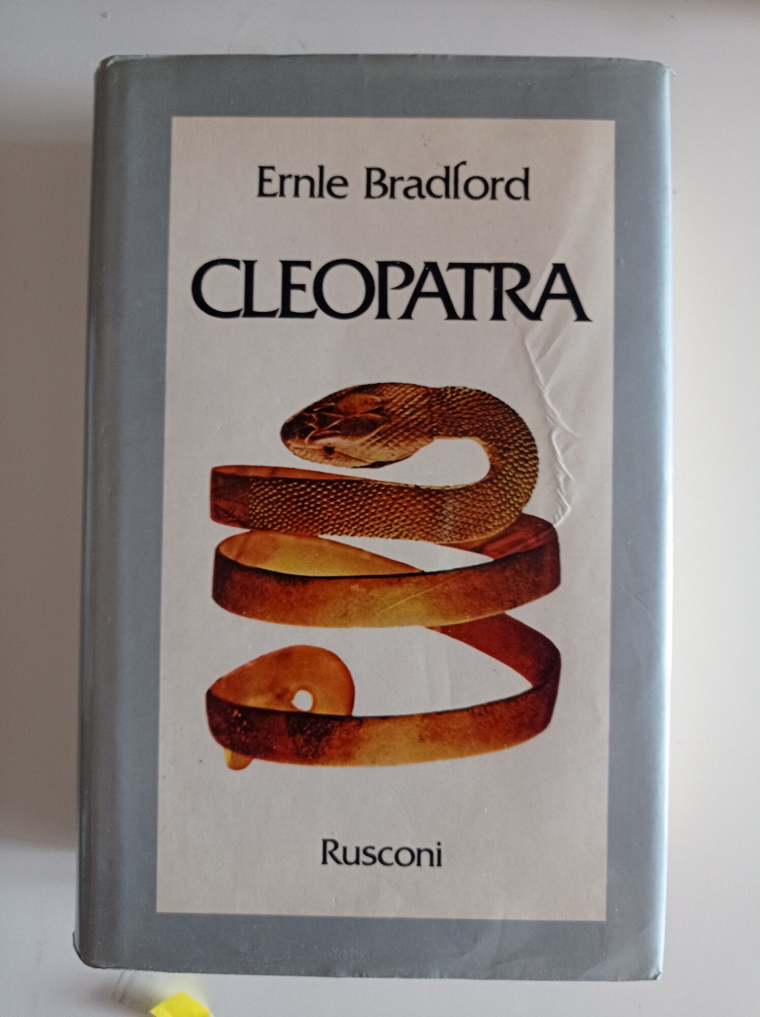 Librisaggi
