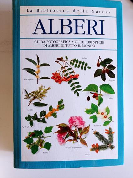 Alberi - copertina