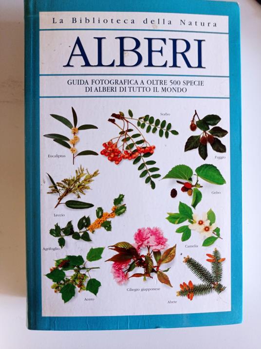 Alberi - copertina
