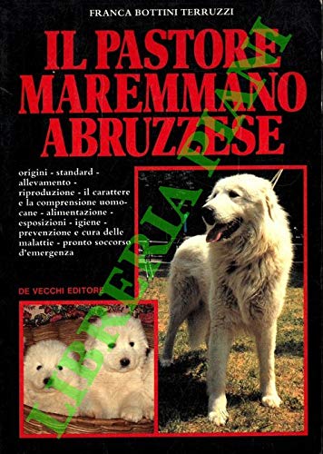 Librisaggi