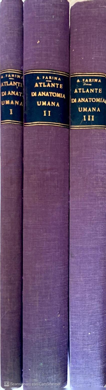 Atlante di anatomia umana descrittiva osteologia-miologia-neurologia. Volume 1-2-3 - Angelo Farina - copertina