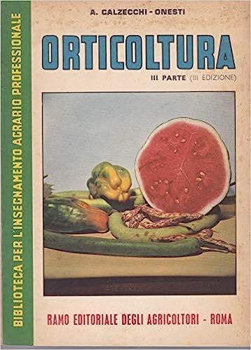 Librisaggi