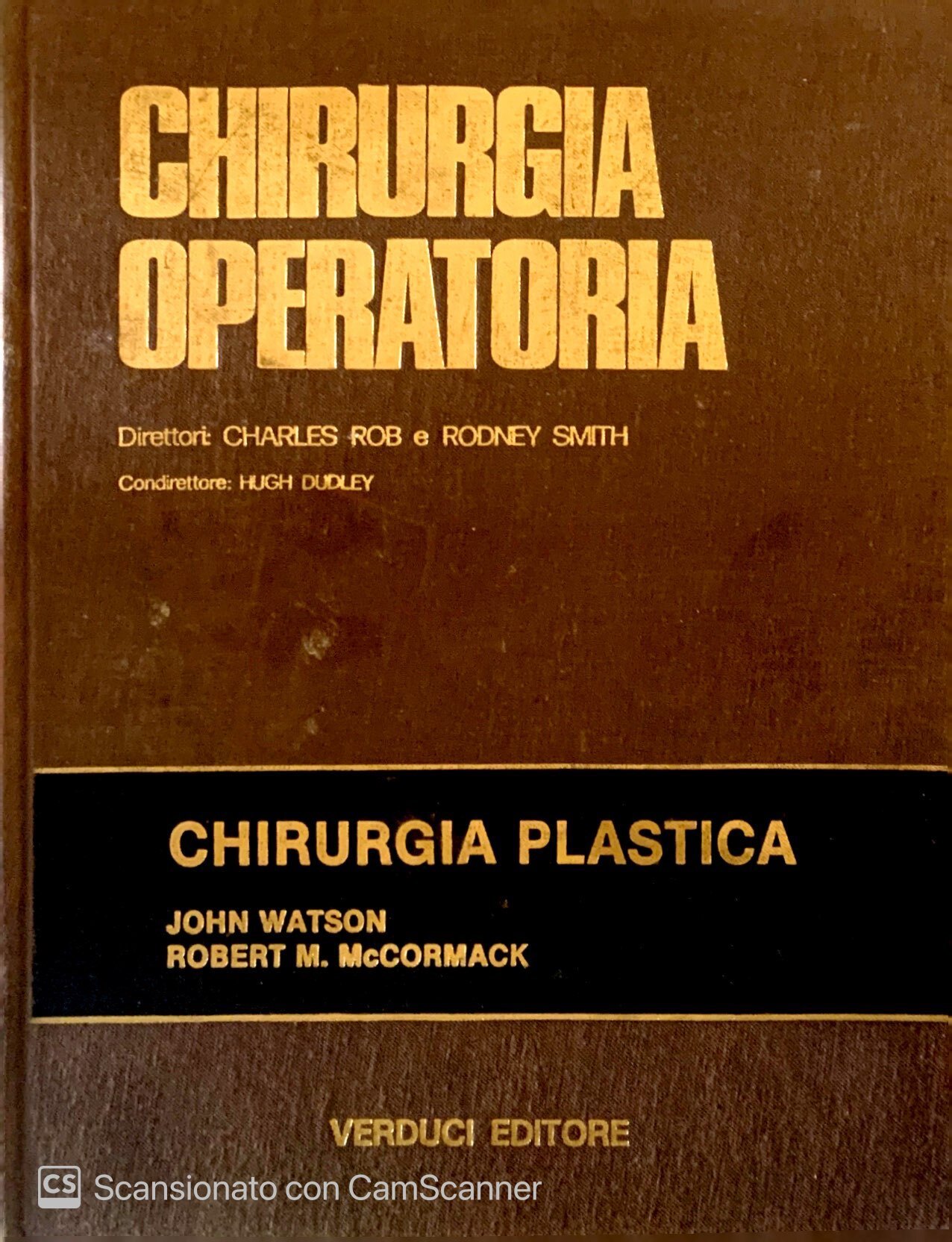 Librisaggi