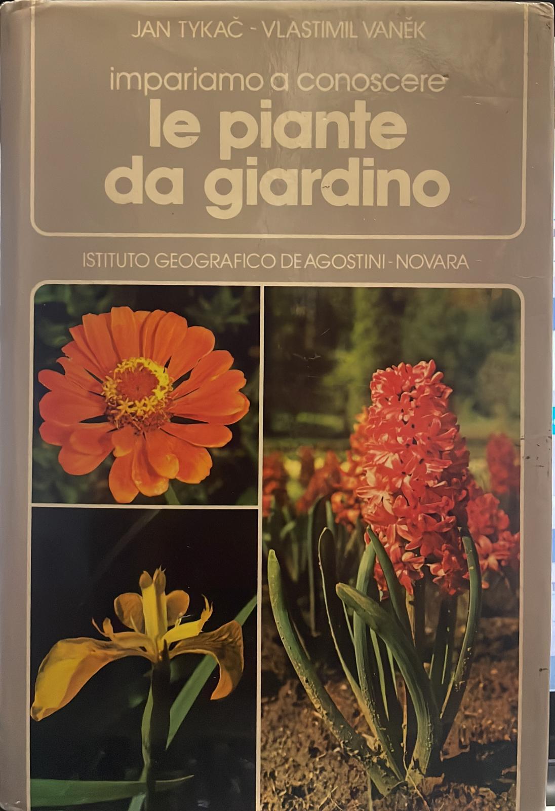 Libreria del Professore