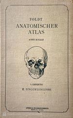 Anatomischer Atlas fur studierende und Ärzte Eingeweidelehre