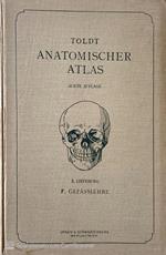 Anatomischer Atlas fur studierende und Ärzte. Gefasslehre