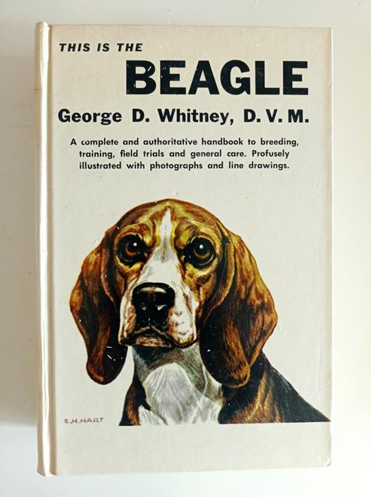 This is the Beagle - copertina