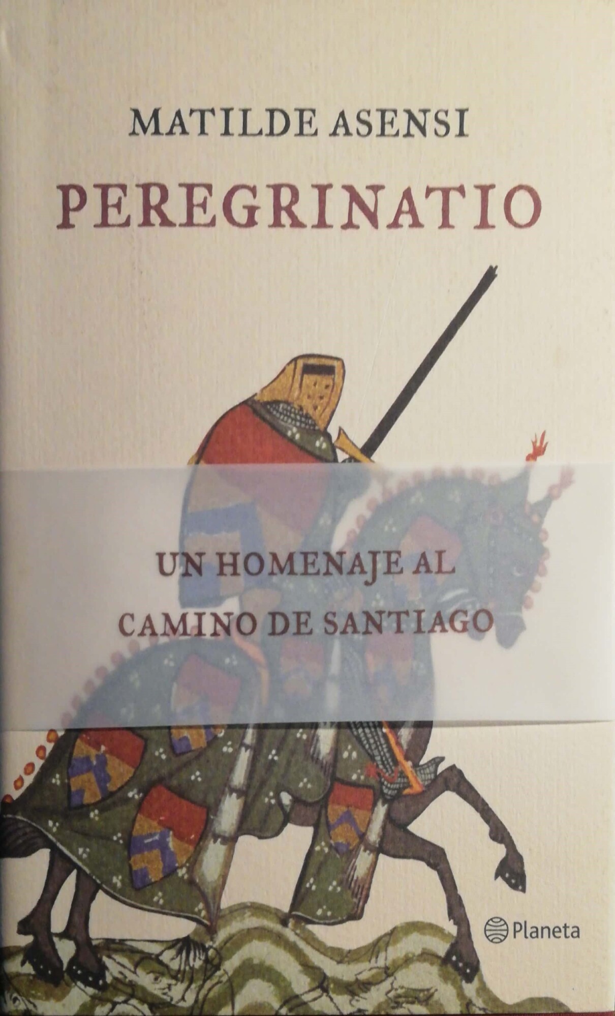 Librisaggi