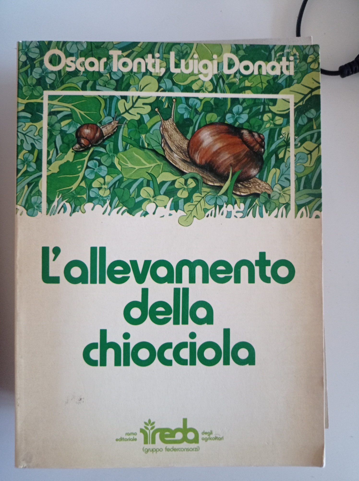 Libreria del Professore