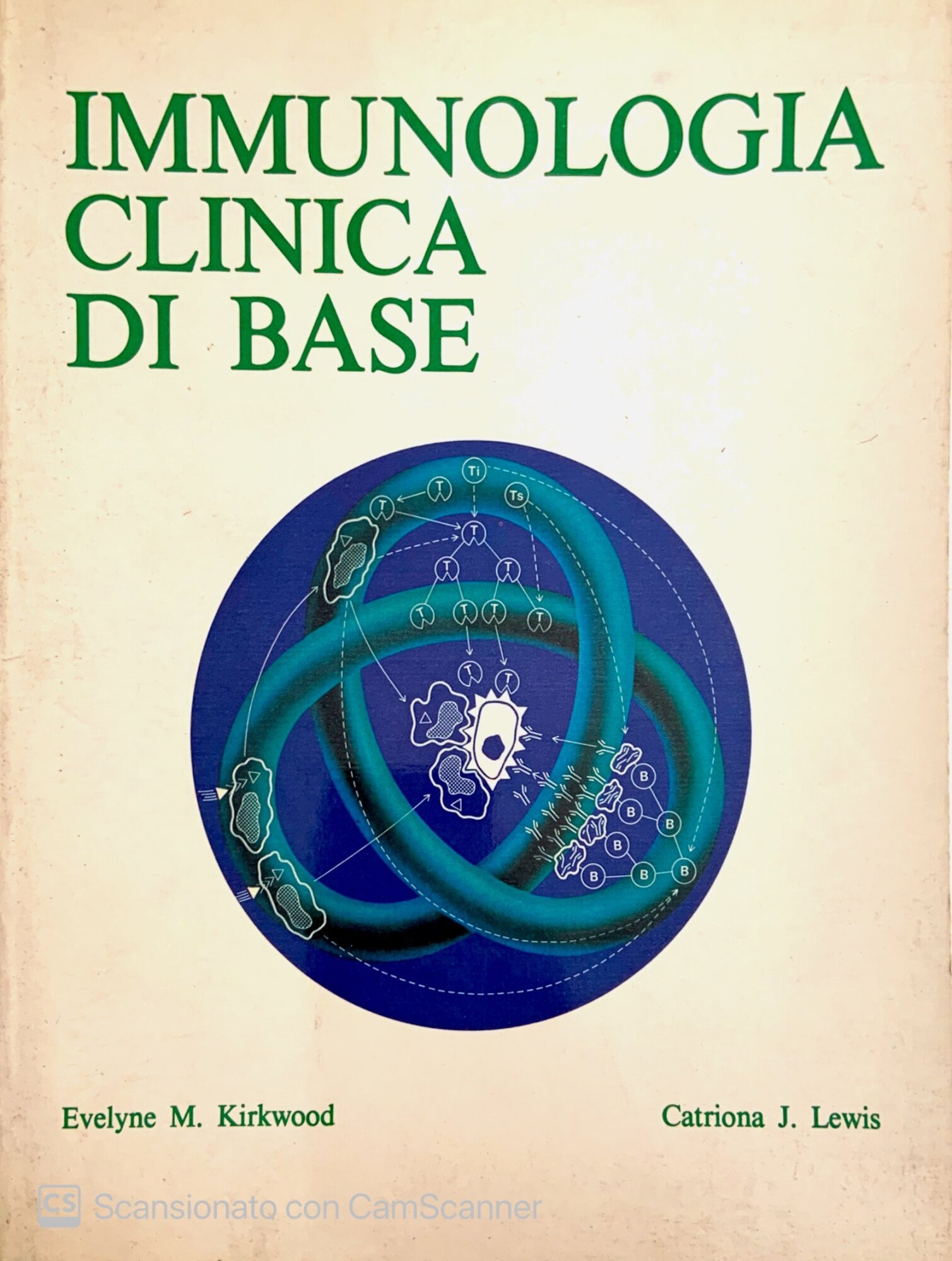 Librisaggi