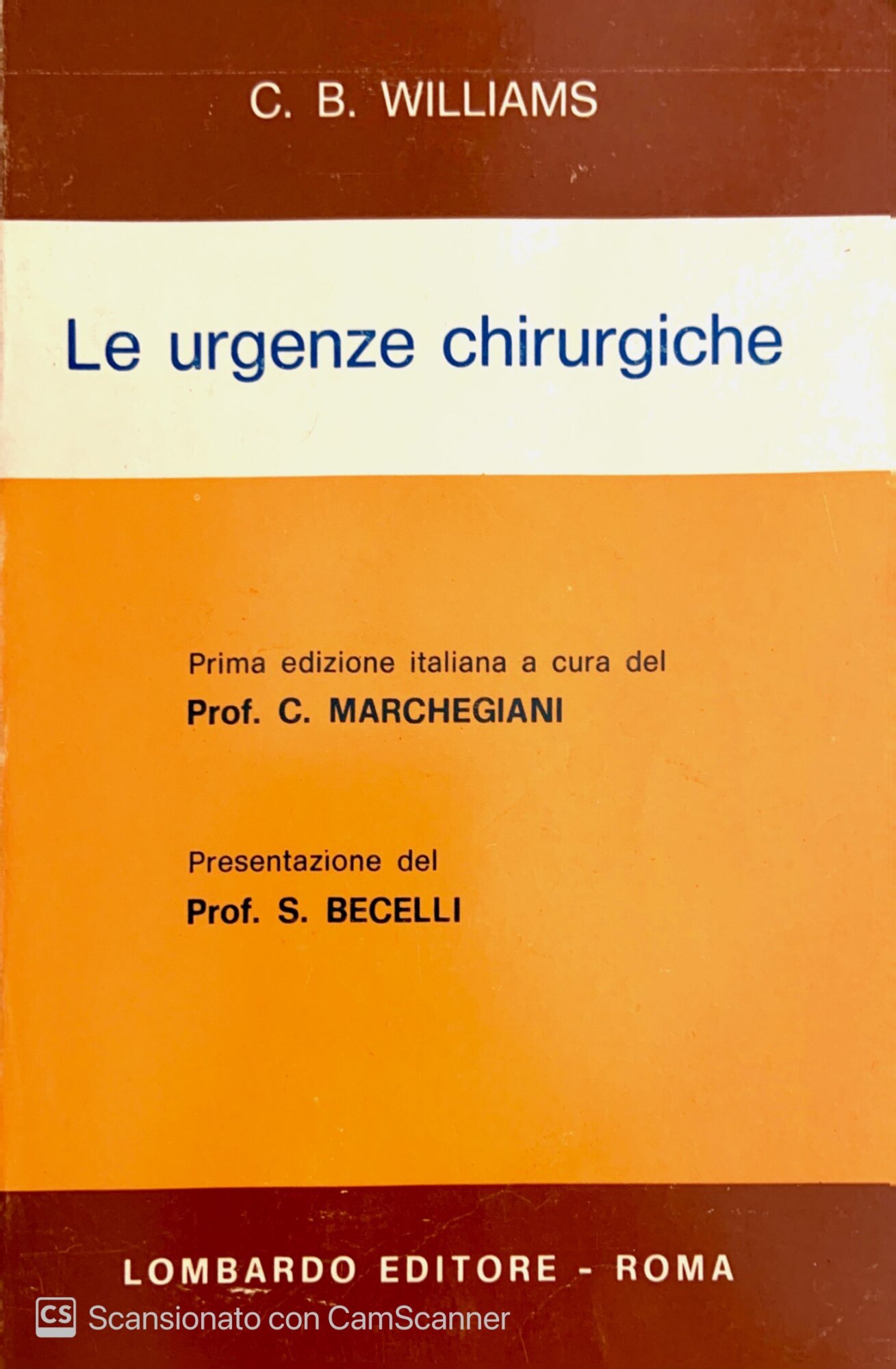 Librisaggi