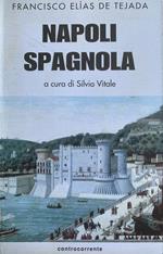 Napoli spagnola. La tappa aragonese (1442-1503)