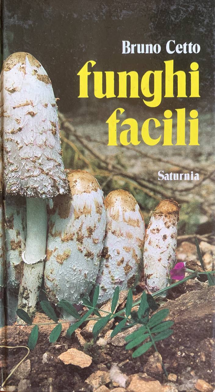 Librisaggi