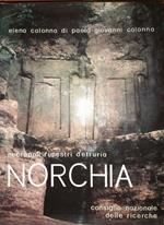 Norchia. Necropoli rupestri dell'Etruria meridionale. Volume I (tavole)