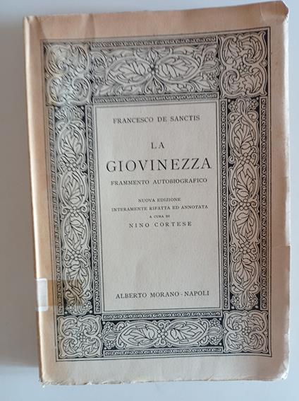 La giovinezza - Francesco De Sanctis - copertina