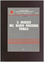 Il giudizio nel nuovo processo penale