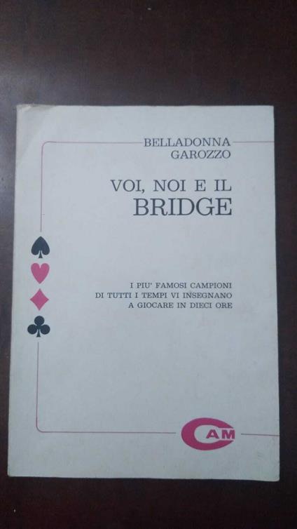 Voi, noi e il bridge - copertina