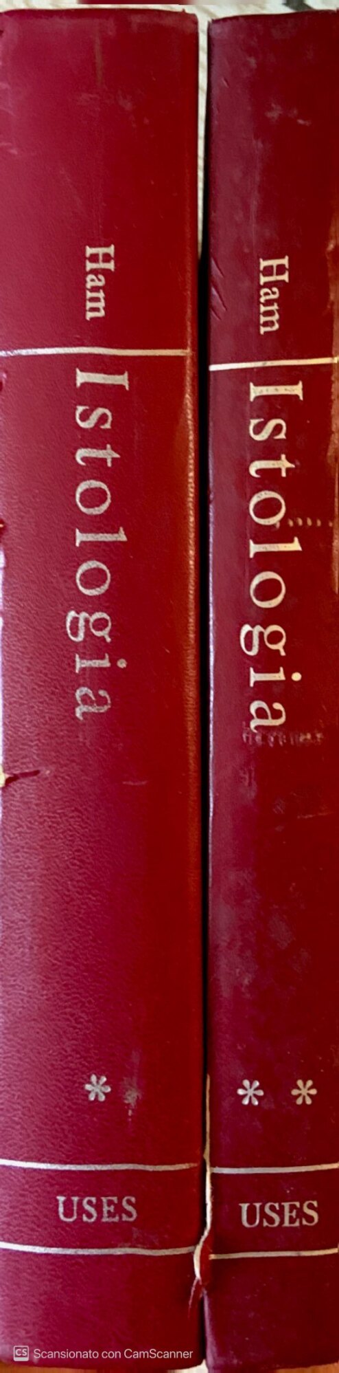 Libreria del Professore