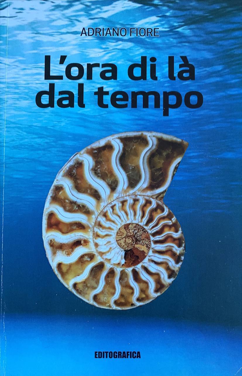 Librisaggi