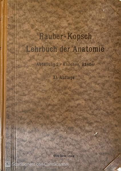 Rauber's Lehrbuch der Anatomie des Menschen. Vol 2 - copertina