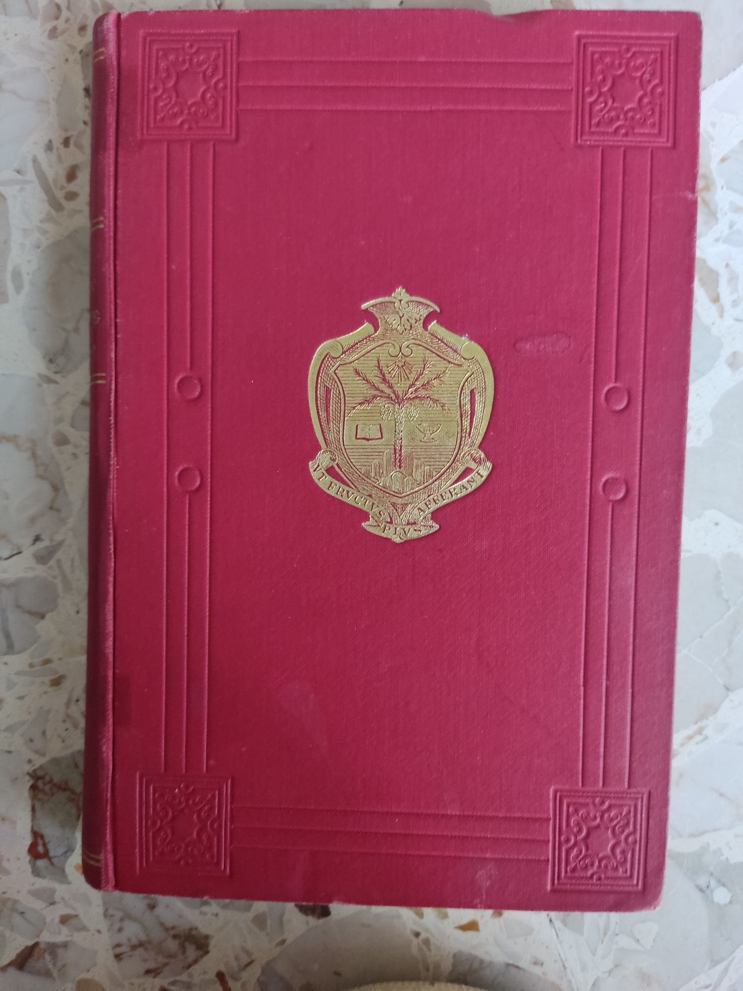 Libreria del Professore