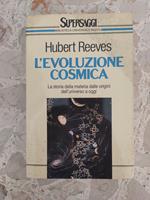 L' evoluzione cosmica: la storia della materia delle origini dell'universo a oggi